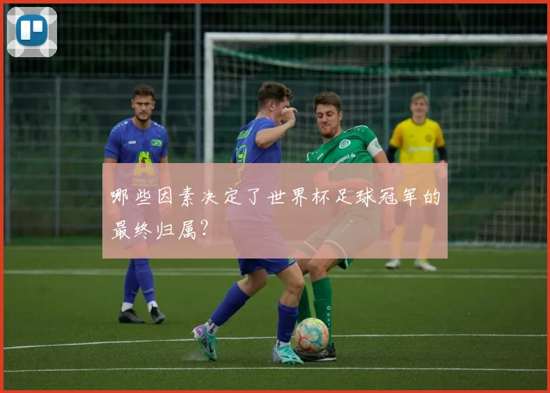 哪些因素决定了世界杯足球冠军的最终归属?