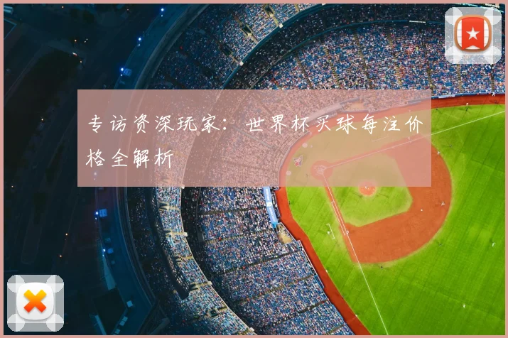 专访资深玩家:世界杯买球每注价格全解析