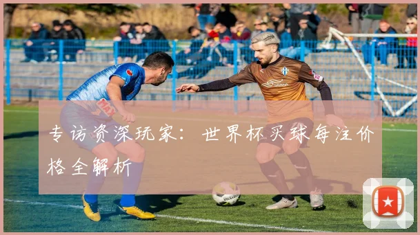 专访资深玩家:世界杯买球每注价格全解析
