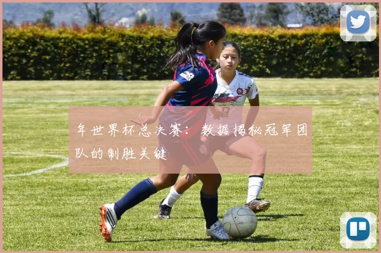 年世界杯总决赛:数据揭秘冠军团队的制胜关键