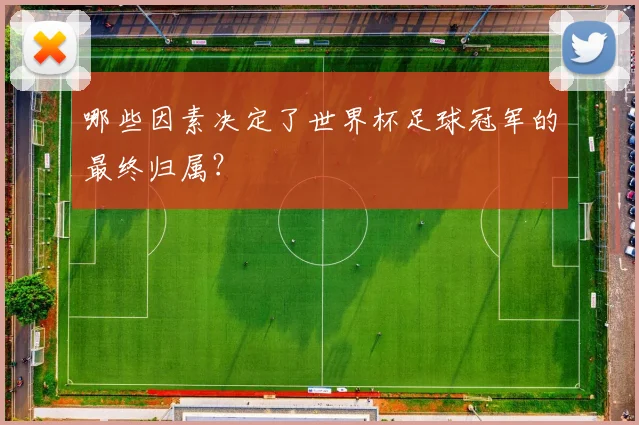 哪些因素决定了世界杯足球冠军的最终归属?
