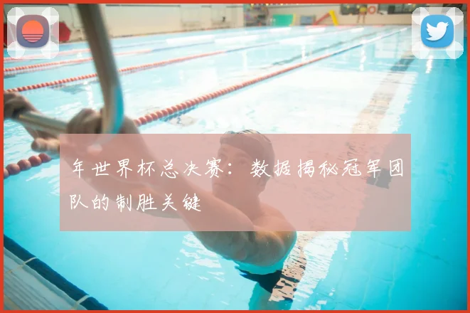 年世界杯总决赛:数据揭秘冠军团队的制胜关键