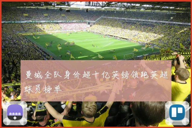 曼城全队身价超十亿英镑领跑英超球员榜单