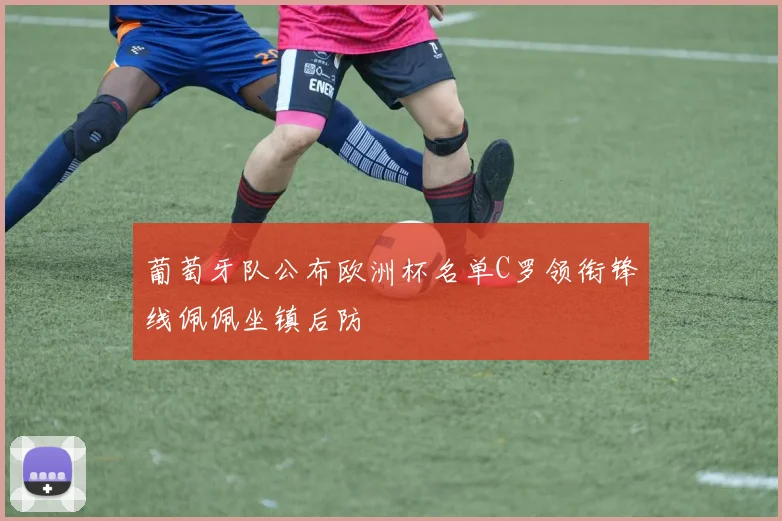 葡萄牙队公布欧洲杯名单C罗领衔锋线佩佩坐镇后防